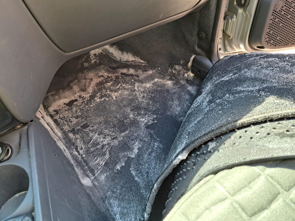 Kelembapan Di Karpet Mobil Sering Tak Terlihat, Begini Cara Mencegah Jamur dan Bau