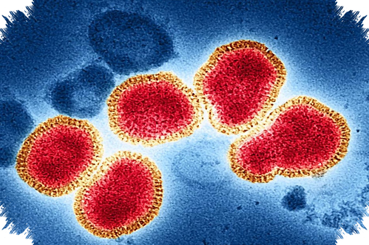 Daya Sebar Influenza A Sulit Diabaikan, Kenali Rantai Penularan Dan Cara Mencegahnya