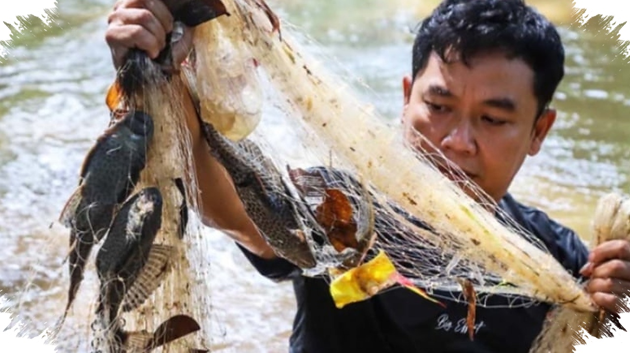 Operasi Serentak Menahan Sapu-Sapu Di Jakarta, Sungai Terancam Oleh Spesies Invasif Yang Cepat Berkembang