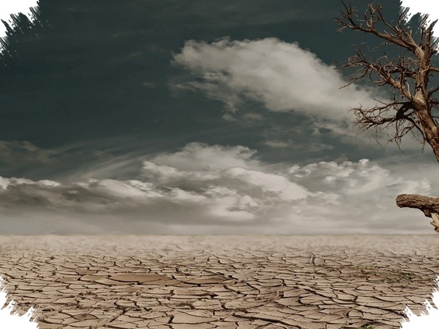Sumatra Selatan Perketat Siaga Karhutla, El Nino Juli-September Bikin Musim Kering Makin Tajam