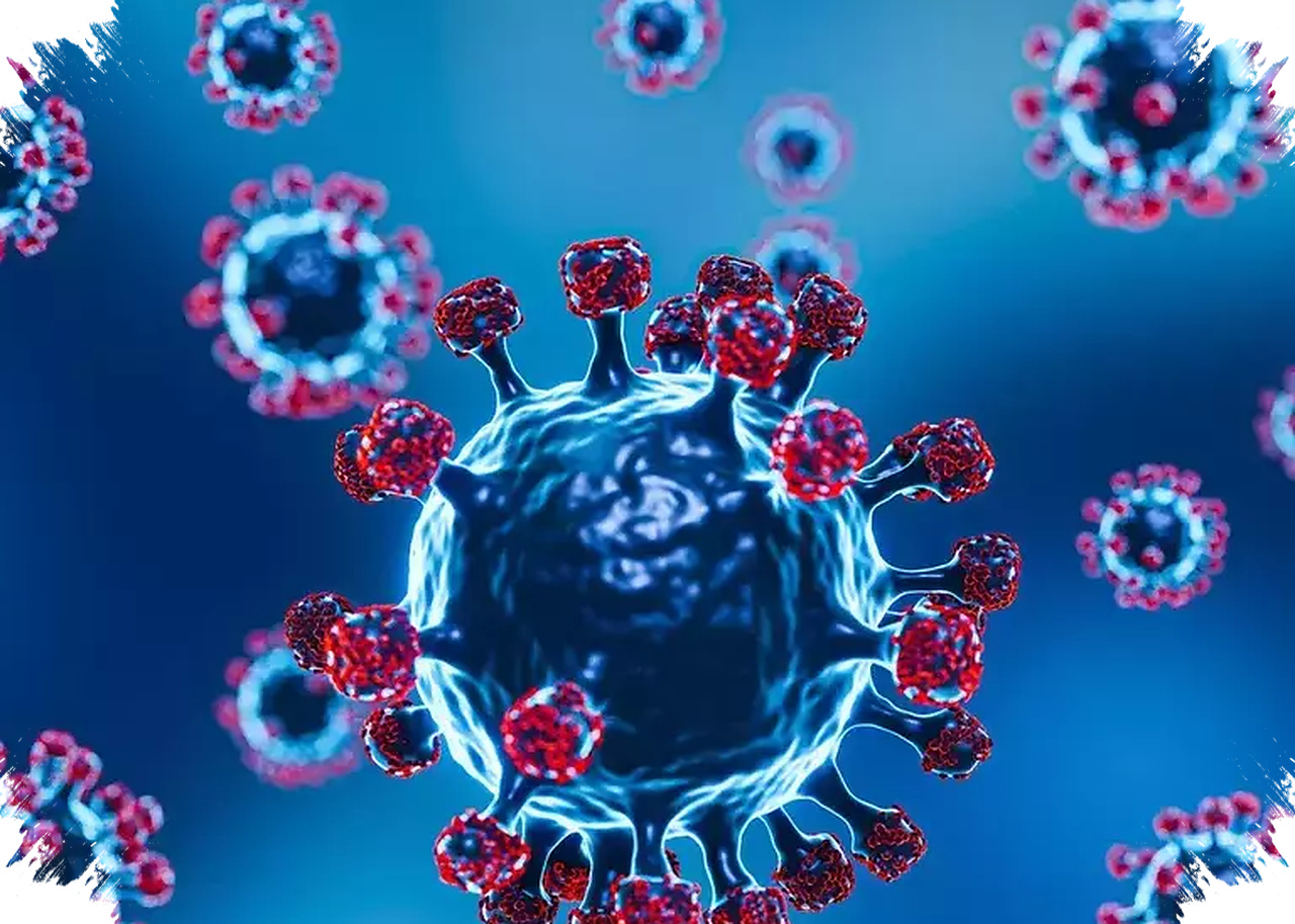 Hasil PCR Sudah Negatif, WNA Kontak Erat Hantavirus Masih Diawasi Ketat di RSPI Sulianti Saroso