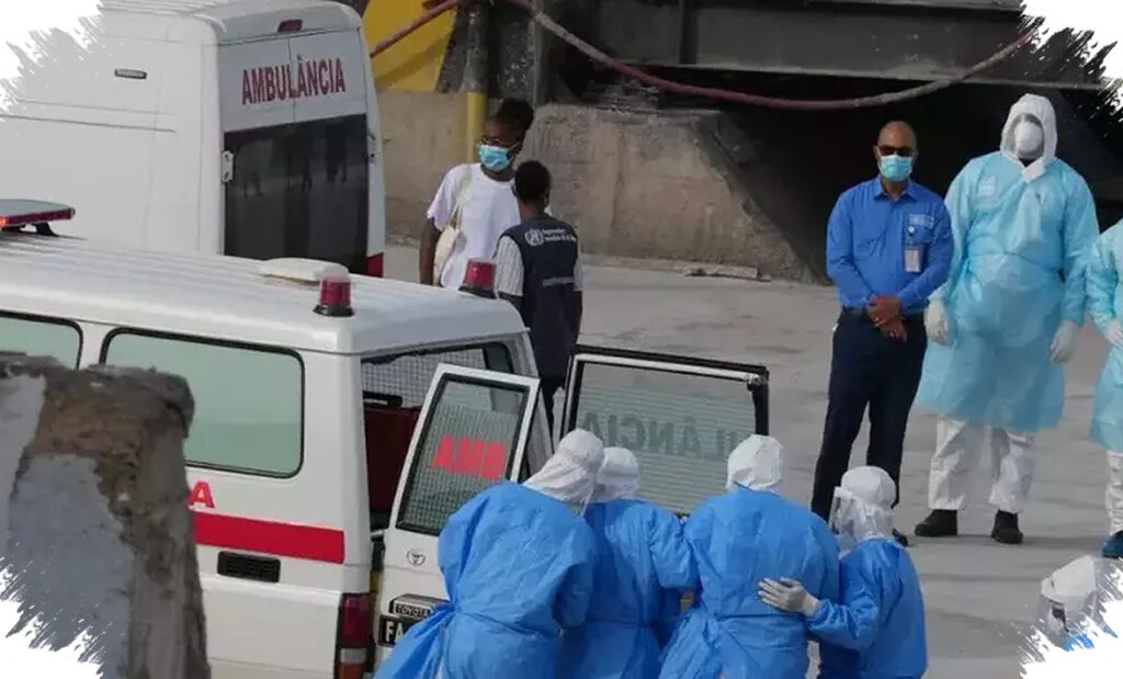 Risiko Hantavirus Bukan Dari Antarmanusia, Lingkungan Tikus Justru Jadi Sumber Utama Kewaspadaan