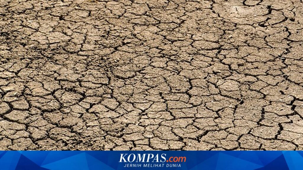 Agustus Jadi Puncak Kemarau Jawa Tengah, Hampir Seluruh Wilayah Masuk Fase Terkering