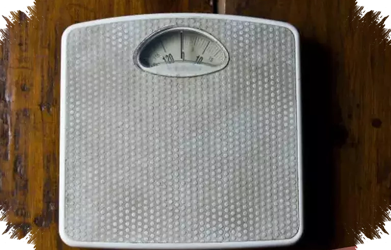Pilihan Makan Lebih Ringan Setelah Libur Panjang, Serat Dan Protein Bantu Tahan Lapar
