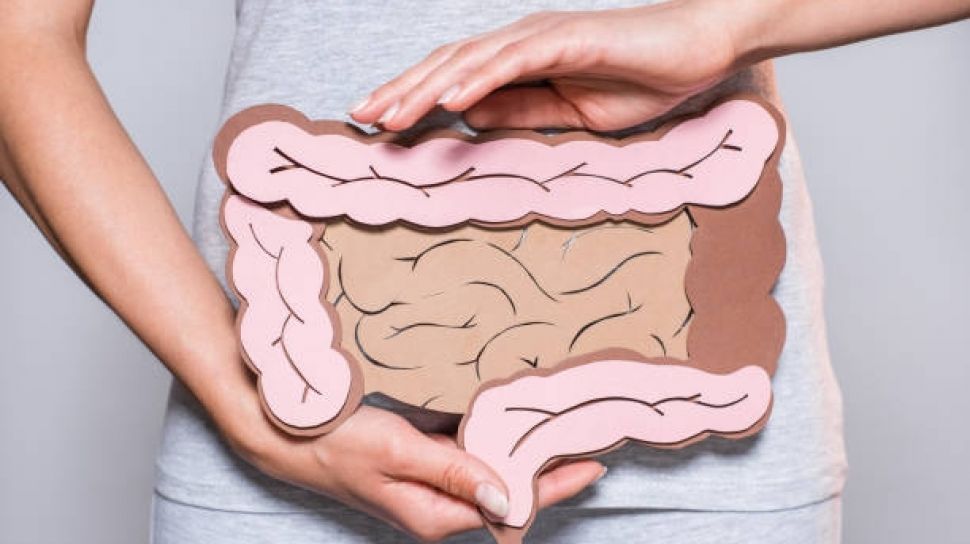 Jam Tidur Berantakan Bisa Mengacaukan Usus, Dari Penyerapan Nutrisi Hingga Metabolisme