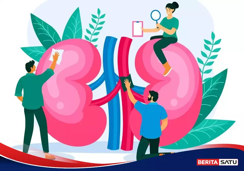 8 Tanda Ginjal Mulai Bermasalah, Sering Muncul Diam-Diam dan Terlambat Disadari