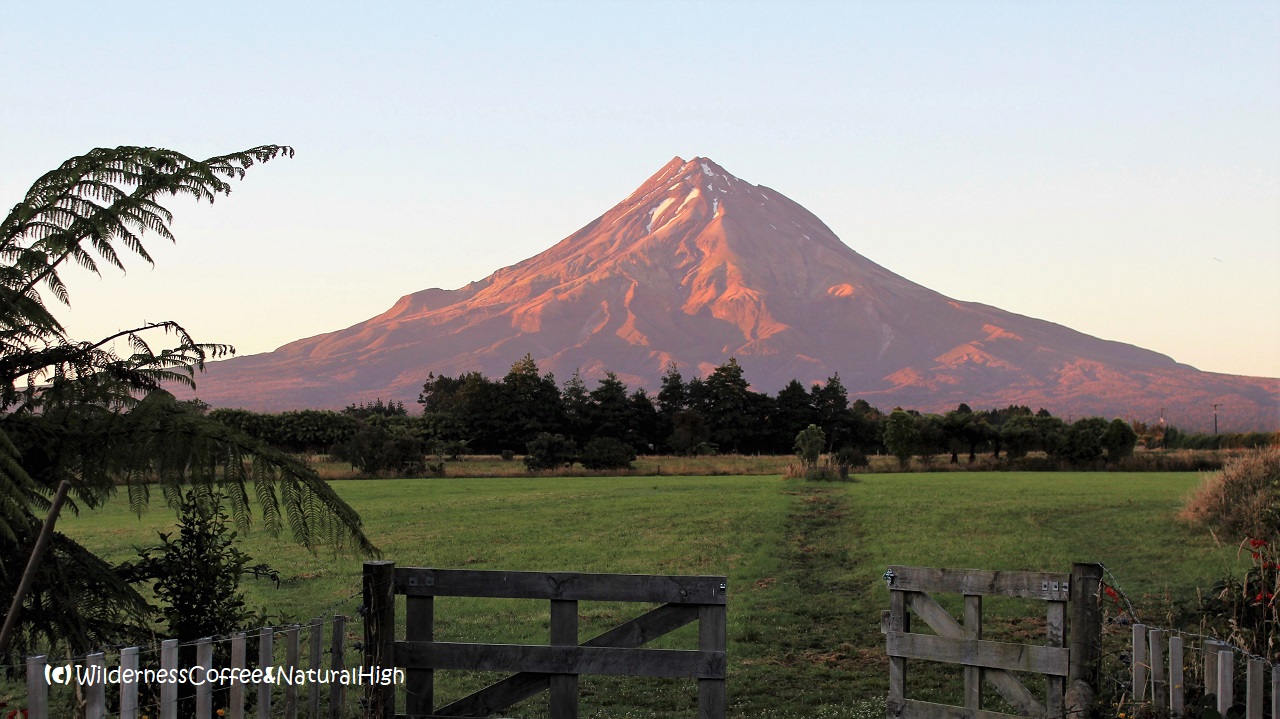 Taranaki Diakui Setara Entitas Hukum, Gunung Ikonik Selandia Baru Masuk Babak Baru