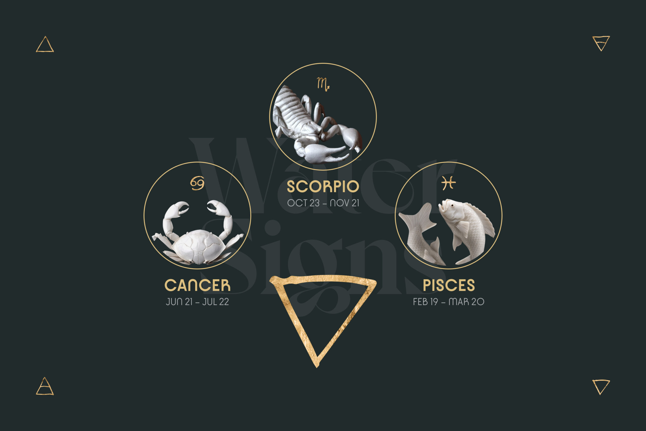 5 Zodiak yang Paling Mudah Masuk Lingkaran Orang Penting, Koneksinya Mengejutkan