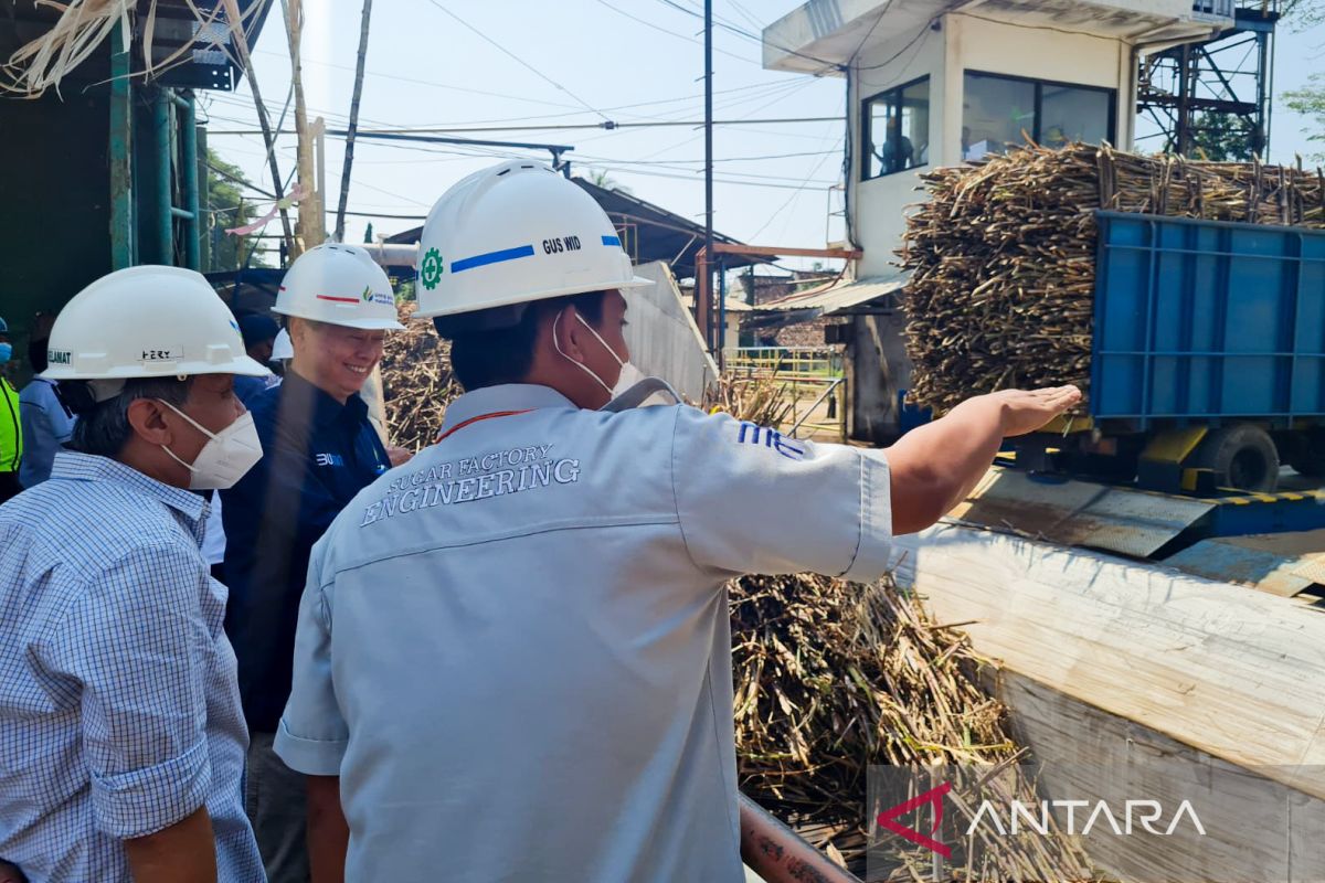 PG Assembagoes Tembus 5.500 TCD, Langkah SGN Makin Dekat ke Swasembada Gula