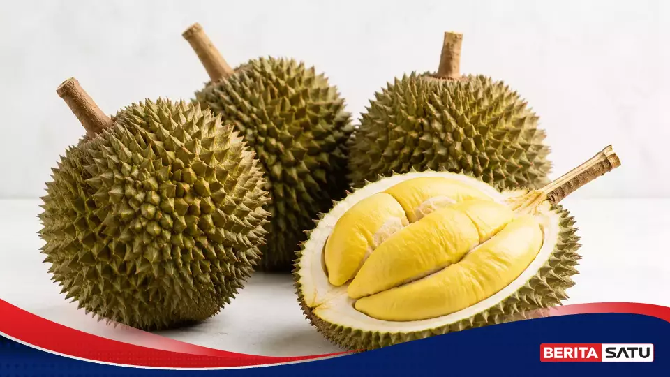 Durian Ternyata Berasal dari Kalimantan, Inilah Alasan Buah Ini Begitu Bernilai