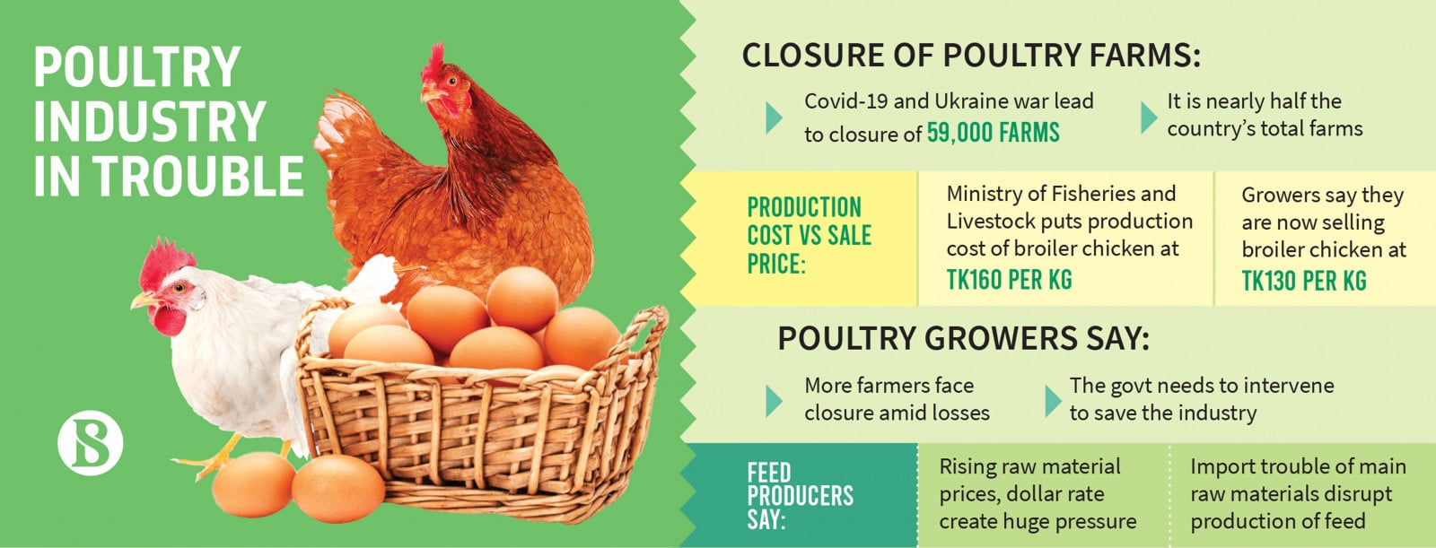 Harga Ayam Anjlok di Bawah HPP, Pemerintah Dorong Serapan Livebird