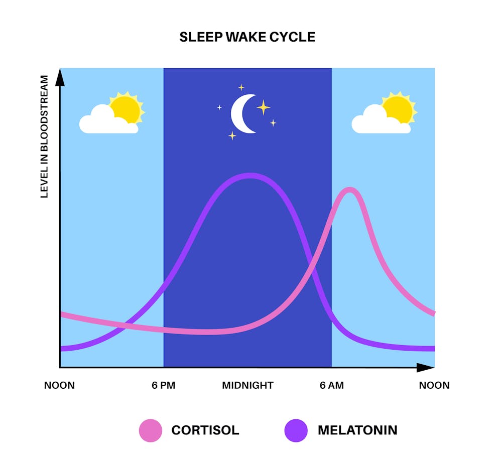 Berjemur 15 Menit Pagi, Efeknya Ternyata Menjangkau Vitamin D Hingga Kualitas Tidur