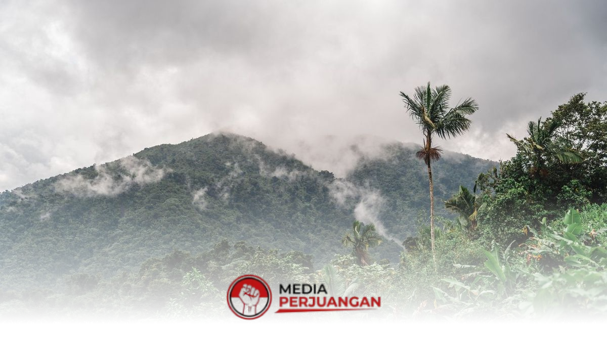 Pesisir Masih Tenang, BMKG Ingatkan Kabut Tipis di Pegunungan Jawa Timur