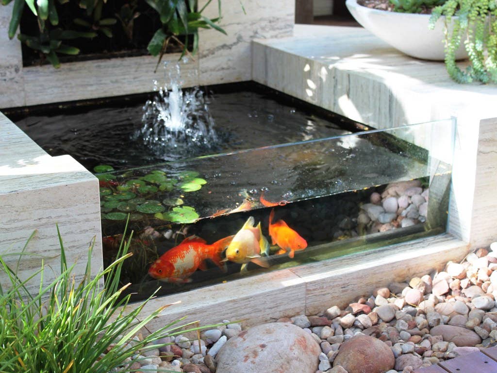 8 Inspirasi Taman Mini dengan Kolam Ikan, Cara Cerdas Ubah Sudut Rumah Jadi Area Healing