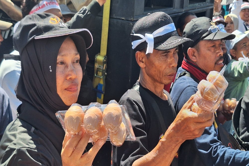 5 Langkah DPRD Jatim Menahan Harga Telur Anjlok, Dari Serapan MBG hingga Buffer Stock