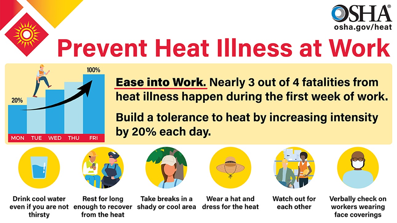 5 Langkah Sederhana untuk Mencegah Heatstroke Saat Cuaca Makin Ekstrem