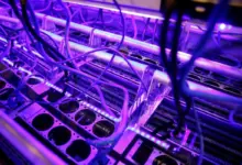 Ionic Digital Siap Masuk Nasdaq, Jejak Baru Eks Penambang Bitcoin Celsius