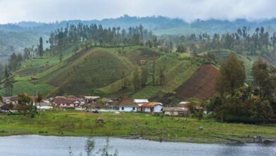 Bahasa Adat Mulai Hilang, Indonesia Terancam Kehilangan Penjaga Alamnya