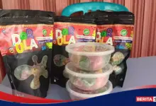 Dorula Pulau Panggang Bertahan di Tengah Cuaca dan Pasar yang Tak Mudah