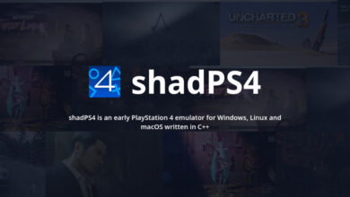 ShadPS4 Tantang Batas Emulasi PS4, Multiplayer Online Hadir Tanpa PSN