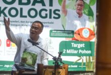 SRUK Segera Meluncur, Pasar Karbon Indonesia Dipacu ke Arah Baru