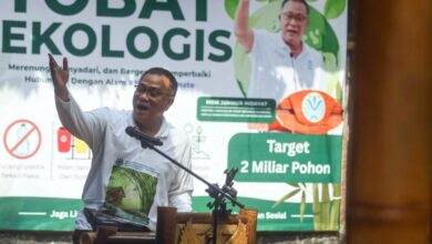 SRUK Segera Meluncur, Pasar Karbon Indonesia Dipacu ke Arah Baru