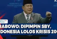 Dana Miliaran Bisa Cair Tanpa Jejak Publik, Lesca Gadai Premier Bidik HNWI