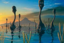 Tiga Hambatan Ilmiah Ini Diduga Membuat Alien Belum Pernah Tiba di Bumi