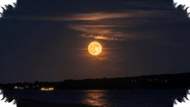 Puncak Strawberry Moon Juni 2026 Jatuh Saat Pagi Buta, Masih Bisa Dinikmati dari Indonesia