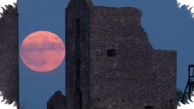 Bulan Purnama 30 Juni 2026 Bisa Dilihat Sepanjang Malam, Ini Waktu Terbaiknya