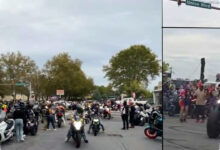 Balap Liar di JLNT Antasari Dinilai Tak Cukup Ditilang, Sahroni Minta Motor Disita