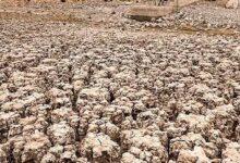 El Nino Mengintai Jabar, Titik Kekeringan Dipetakan dari Wilayah Paling Rentan