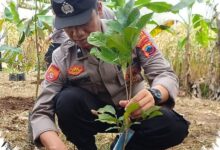Naik Pangkat Disertai 10.380 Pohon, Cara Polda Jateng Menebar Manfaat Lebih Luas
