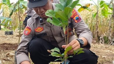 Naik Pangkat Disertai 10.380 Pohon, Cara Polda Jateng Menebar Manfaat Lebih Luas
