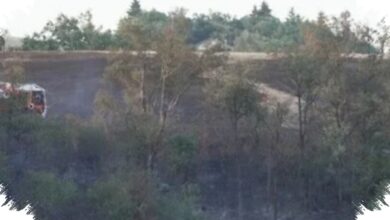 Api Menjalar di Prancis Selatan, 700 Hektare Lahan Hangus dan Ribuan Warga Siaga