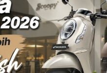 6 Warna Baru Honda Scoopy 2026, Aura Retro Modernnya Naik Kelas
