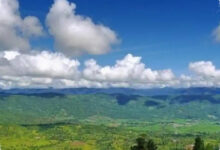 5 Perbedaan Besar Hutan Pegunungan dan Dataran Rendah yang Sering Tak Disadari