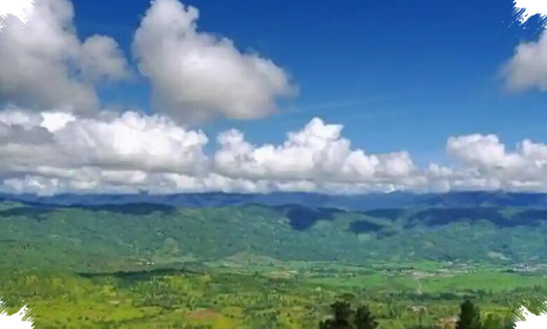 5 Perbedaan Besar Hutan Pegunungan dan Dataran Rendah yang Sering Tak Disadari