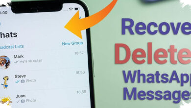 Chat WhatsApp Terhapus Bisa Kembali, Tiga Cara Resmi Ini Perlu Dicoba Dulu