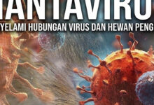 WHO Resmi Akhiri Wabah Hantavirus di MV Hondius, Tak Ada Kasus Baru Sejak 25 Mei