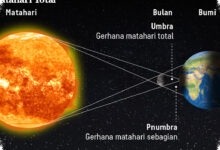 Gerhana Matahari Total 2 Agustus 2027 Diprediksi Redupkan Siang Selama 6 Menit 23 Detik