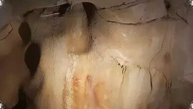 Dinding Gua Ternyata Menyimpan DNA Manusia Purba, Jejaknya Masih Terbaca
