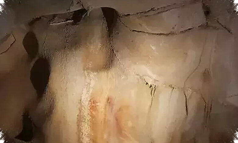 Dinding Gua Ternyata Menyimpan DNA Manusia Purba, Jejaknya Masih Terbaca