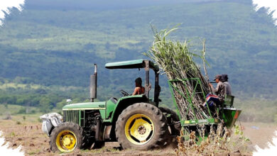 Tas Petani Merauke Kini Berisi iPhone, Amran Sorot Dampak Teknologi