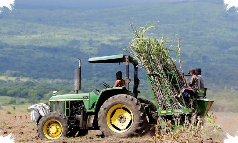 Tas Petani Merauke Kini Berisi iPhone, Amran Sorot Dampak Teknologi