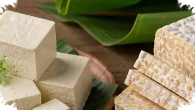 Tahu dan Tempe Tak Seburuk Itu, Ini yang Sebenarnya Memicu Asam Urat Kambuh