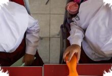 Obesitas Melaju Lebih Cepat dari Stunting, Literasi Gizi Dinilai Harus Berubah