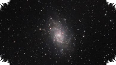 6 Prompt Gemini AI Ubah Foto Jadi Dwarf, Hasilnya Tetap Natural dan Realistis