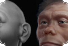Komodo Diduga Lebih Dulu Menguasai Bangkai, Homo Floresiensis Tak Lagi Dipandang Sebagai Pemburu Besar