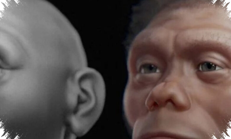 Komodo Diduga Lebih Dulu Menguasai Bangkai, Homo Floresiensis Tak Lagi Dipandang Sebagai Pemburu Besar